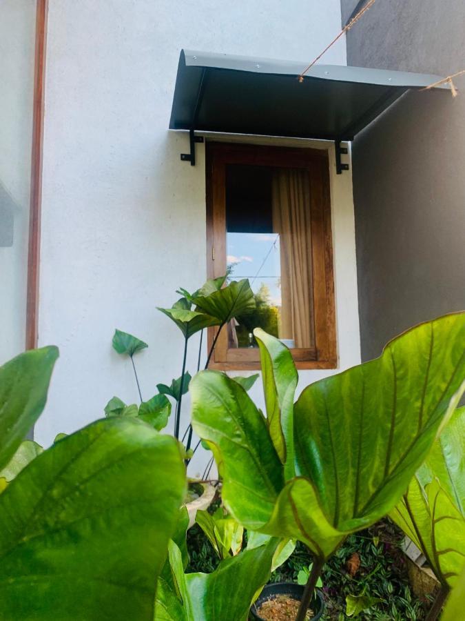 Jungle City Hostel Galle Exterior photo